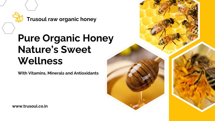 Promotional banner for Trusoul Raw Organic Honey featuring images of bees on a honeycomb, a honey dipper dripping golden honey, and a bee on a yellow flower, with text highlighting its organic purity and health benefits including vitamins, minerals, and antioxidants.